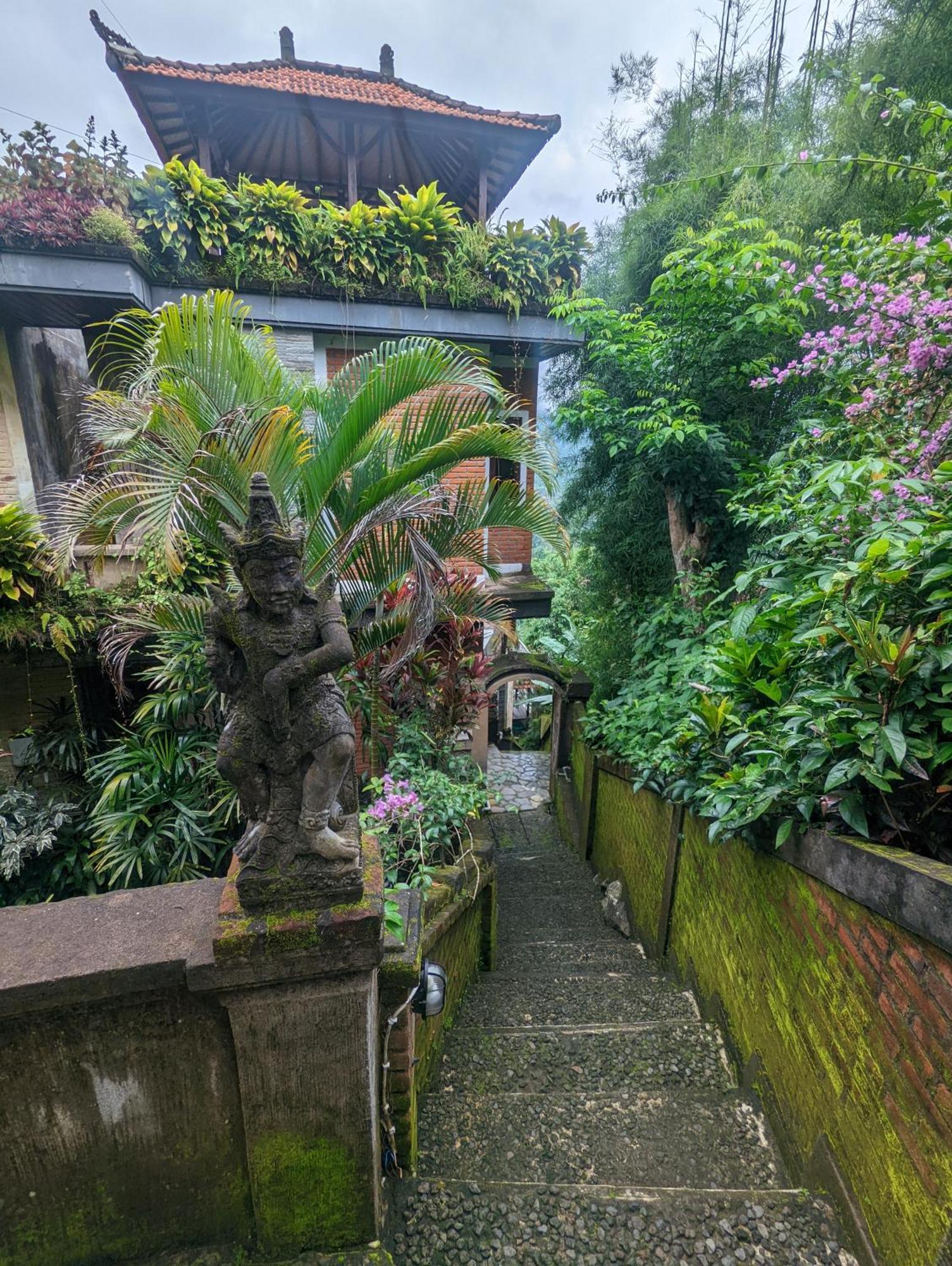 Bali Munduk Delux Bungalow Villa Singaraja Extérieur photo