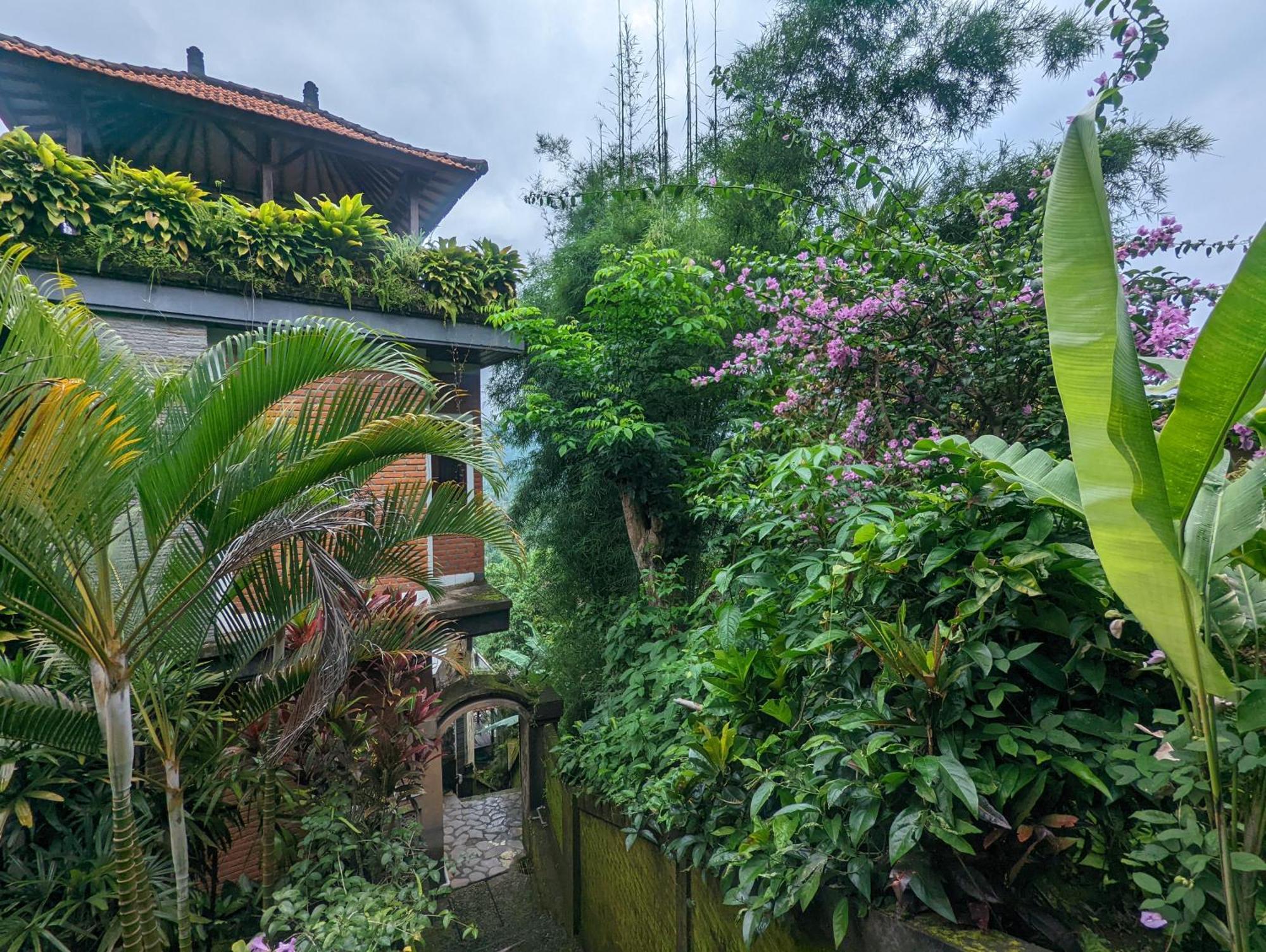 Bali Munduk Delux Bungalow Villa Singaraja Extérieur photo
